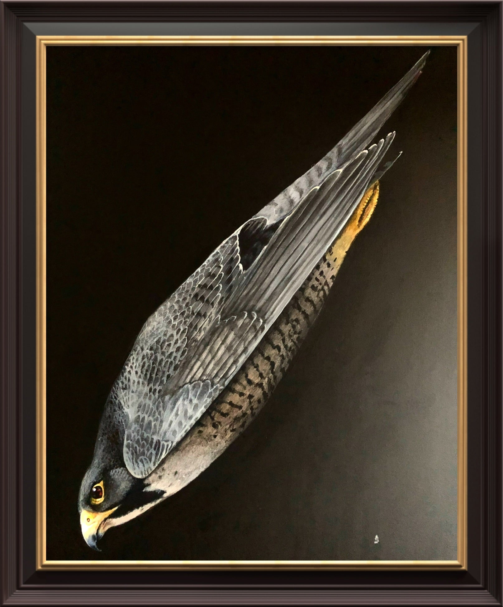 Original Hand-painted Lifesize Falcon study Acrylic Medium