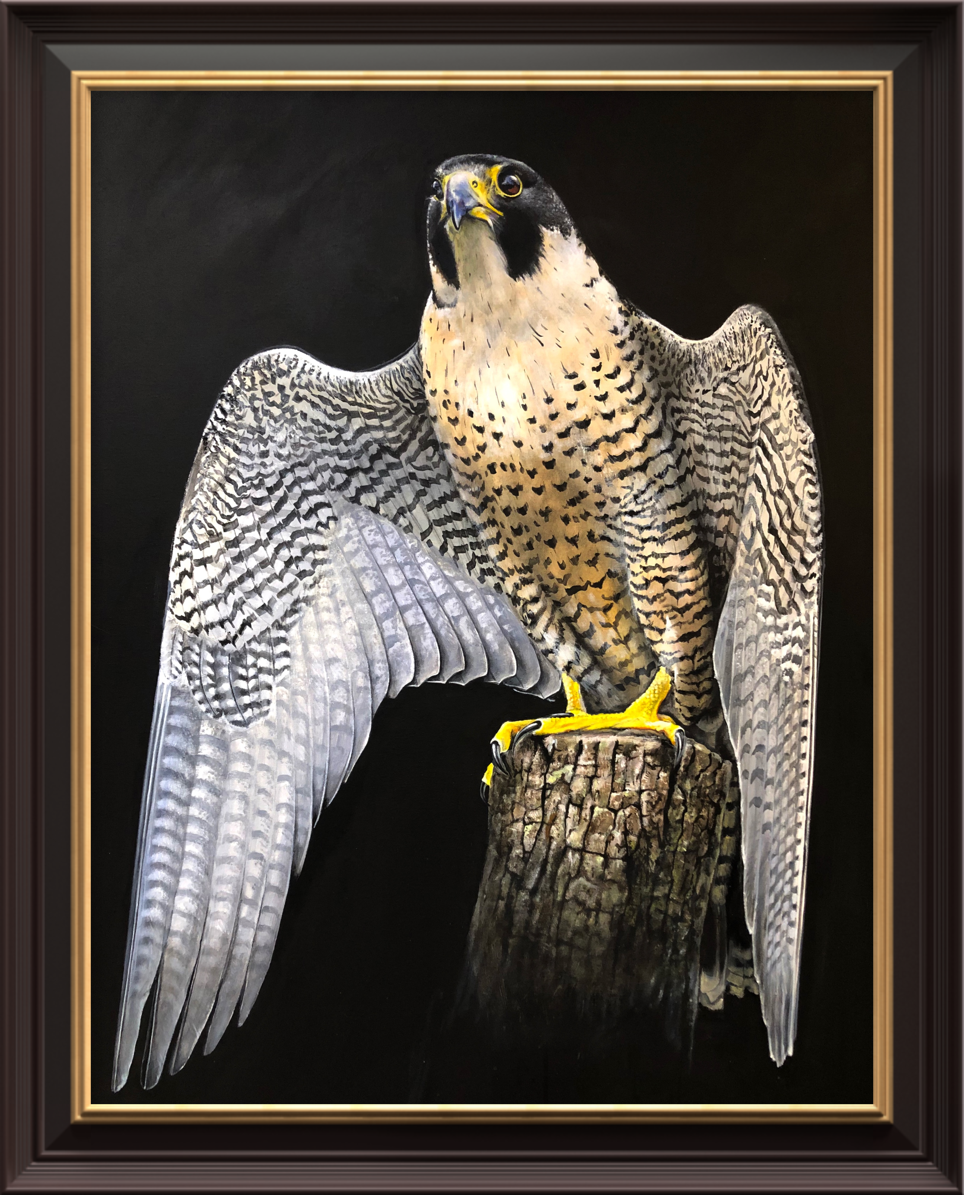 Original Hand-painted Lifesize Falcon study Acrylic Medium