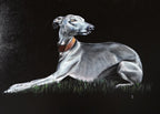 Original Hand-painted study Oil Medium