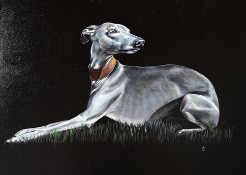 24" x 36 " Original Hand-painted study Oil Medium