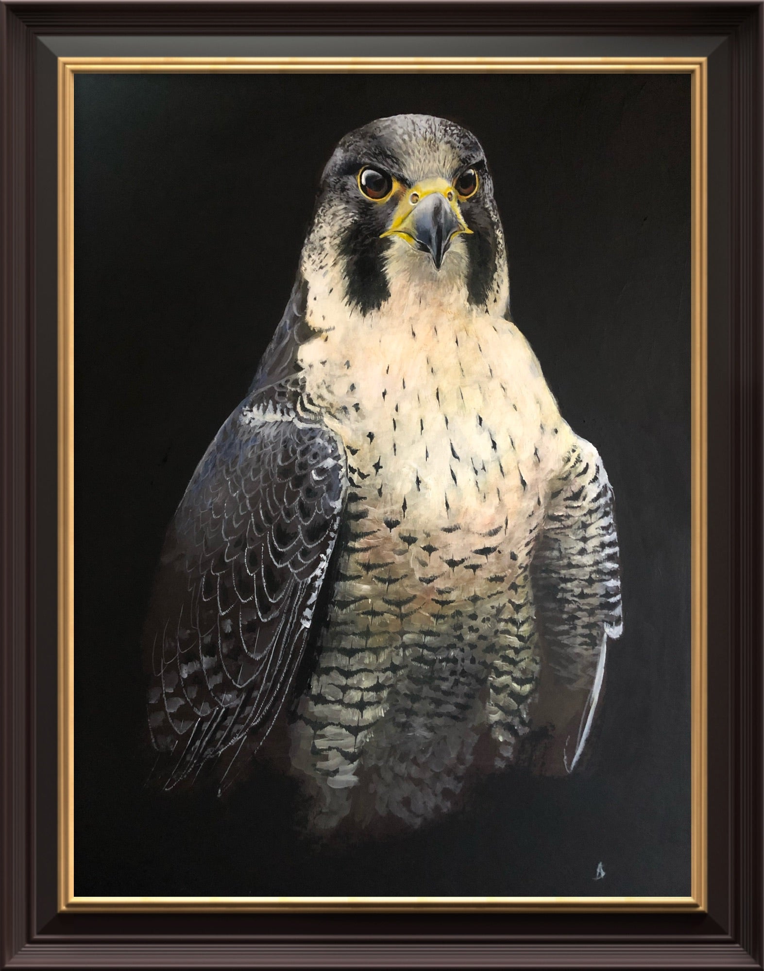 Original Hand-painted Lifesize Falcon study Acrylic Medium
